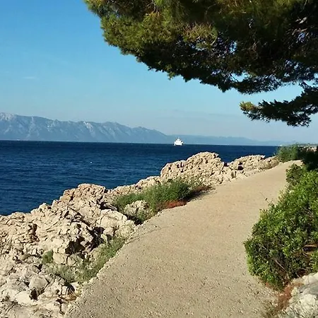 Andrea Drvenik (Split-Dalmatia)