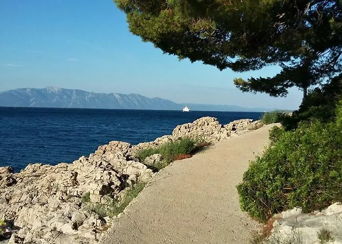 Andrea Drvenik (Split-Dalmatia)